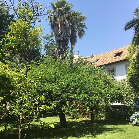 ホテルThe Oaks House Foz ポルト エクステリア 写真